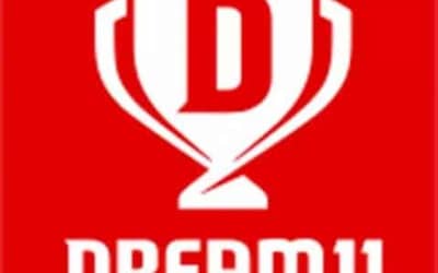 IPL 2020: Dream11 Story And Logo for IPL2020
