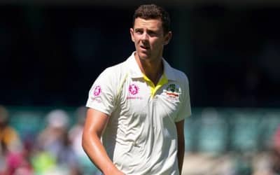 India VS Australia 2023: Josh Hazlewood Gets Ruled Out of Series. David Warner is Injured too. All Updates. ?