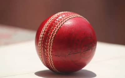 Mastering Fantasy Cricket: Strategies for Building Winning Teams and Maximizing Points