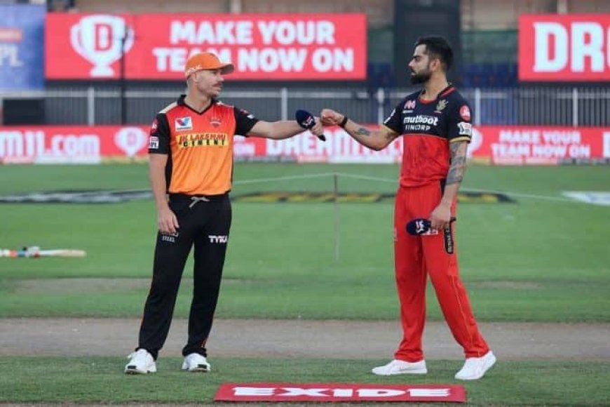 Dream11 IPL 2020: Eliminator, SRH vs RCB Preview, Probable 11, Fantasy Tips